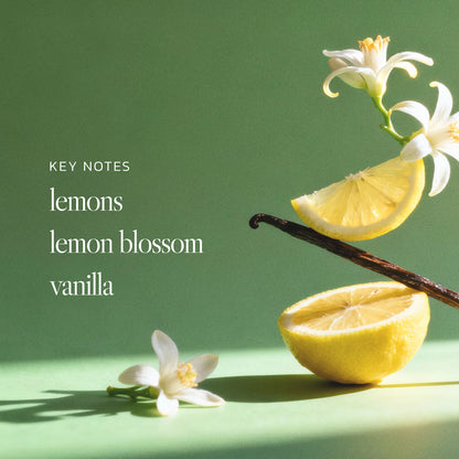 n,144 Brightside Body Butter, Body & Hair Mist, + Travel Spray Eau De Parfum Bundle