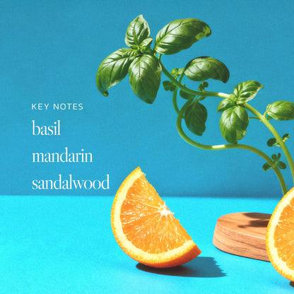 n,307 Sunlit Grove Body Butter