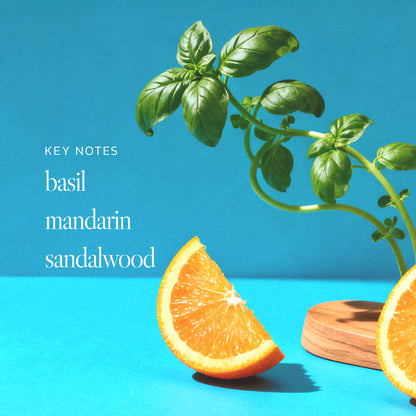 n,307 Sunlit Grove Body Butter + 50ml Eau De Parfum Bundle