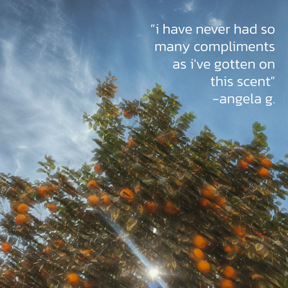 n,307 Sunlit Grove Body Butter + 50ml Eau De Parfum Bundle