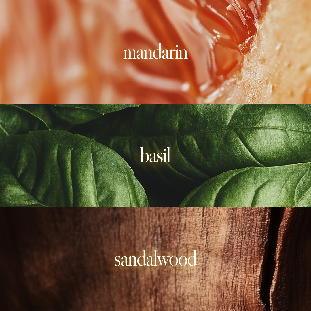 Mandarin, Woody Eau De Parfum | Noteworthy – Noteworthy