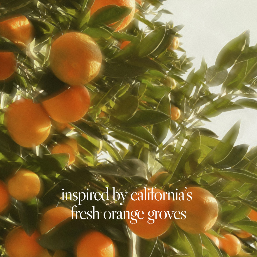 Mandarin, Woody Eau De Parfum | Noteworthy – Noteworthy