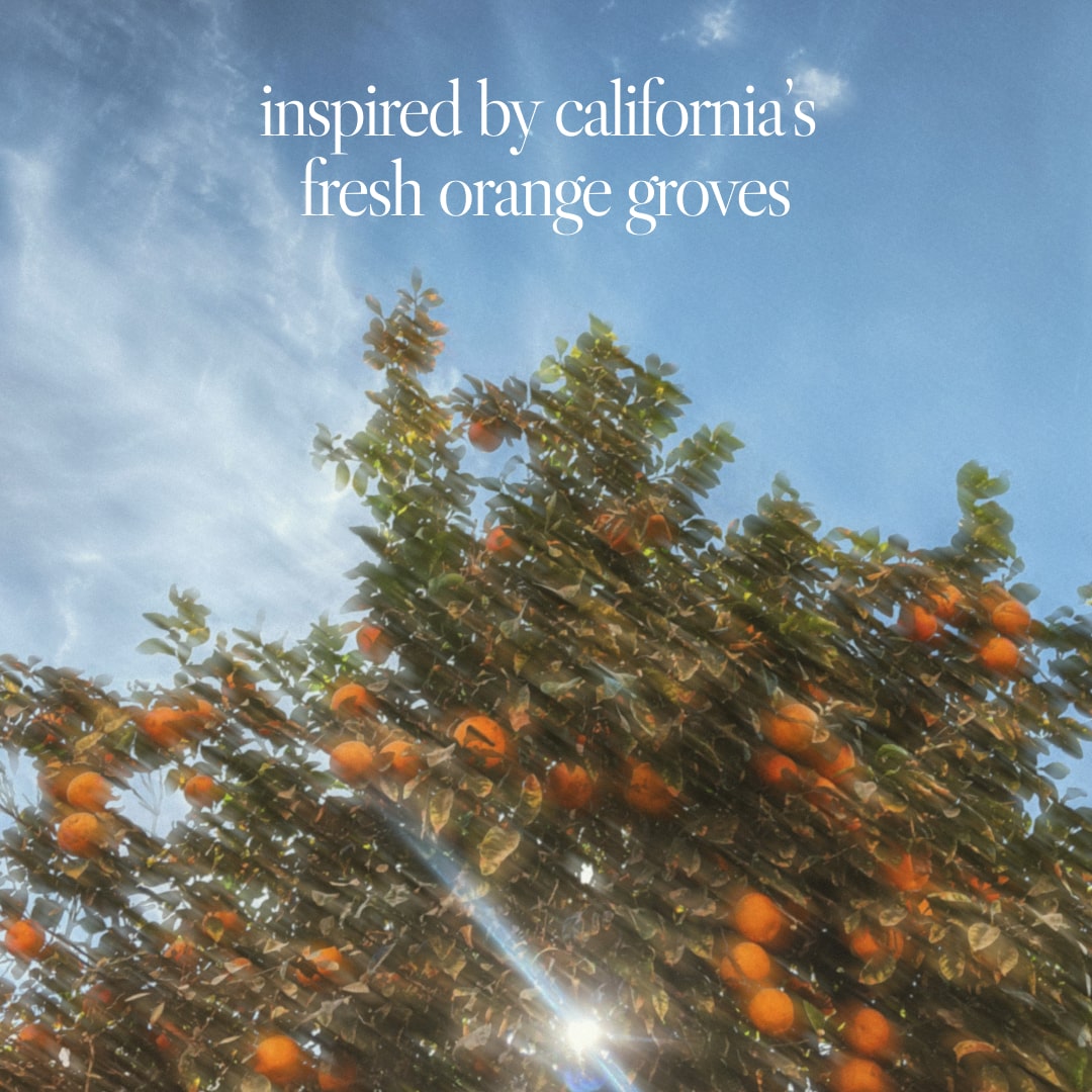 Noteworthy n,307 Sunlit Grove – 50ml Mandarin & Sandalwood