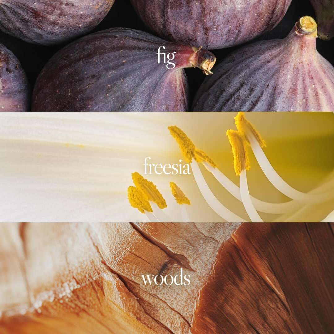 Amazon.co.jp: bgm NO.041 Eau De Parfum Aromatic Musk Scent