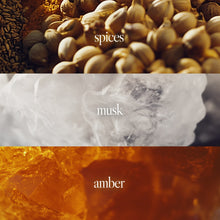 Noteworthy n,441 Eau De Parfum | Crystallized Woods | Spices Musk Amber Fragrance