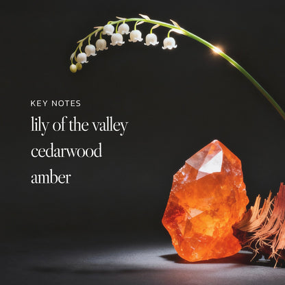 n,551 Amber Sunset Body Butter