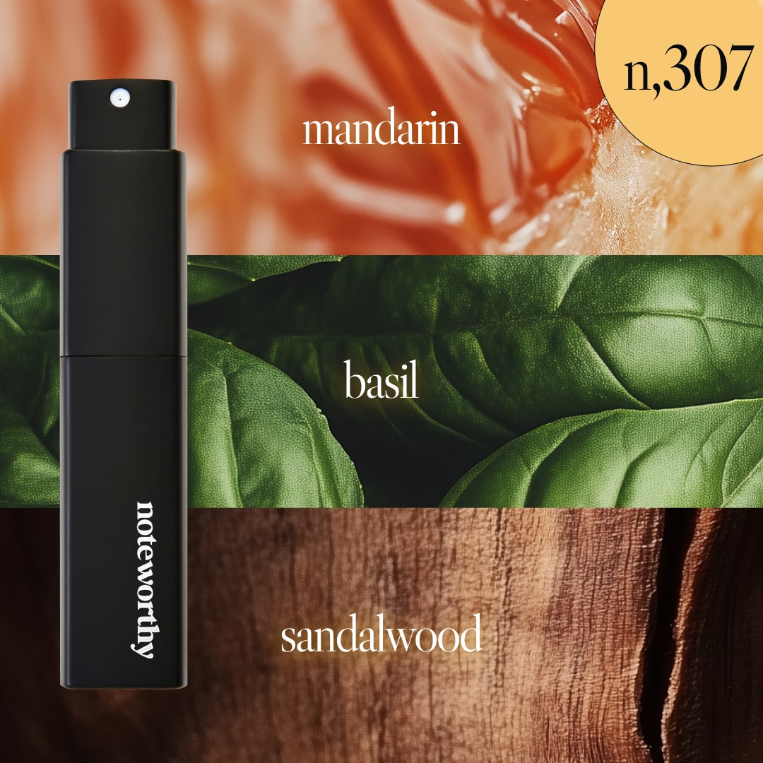 The Signature Duo – Noteworthy Travel Spray Bundle (n,551 & n,307