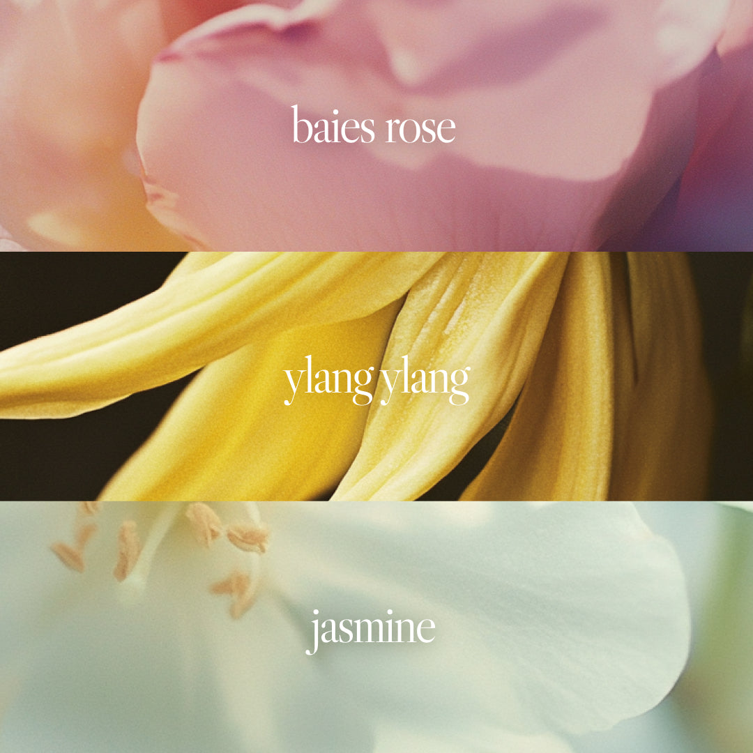 Noteworthy n,602 Eau De Parfum | On the Veranda | Baises Rose, Jasmine, Floral Fragrance