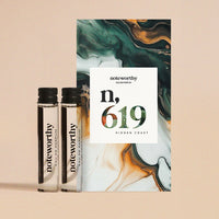 n,619 Hidden Coast Travel Spray Refills (2 Pack)