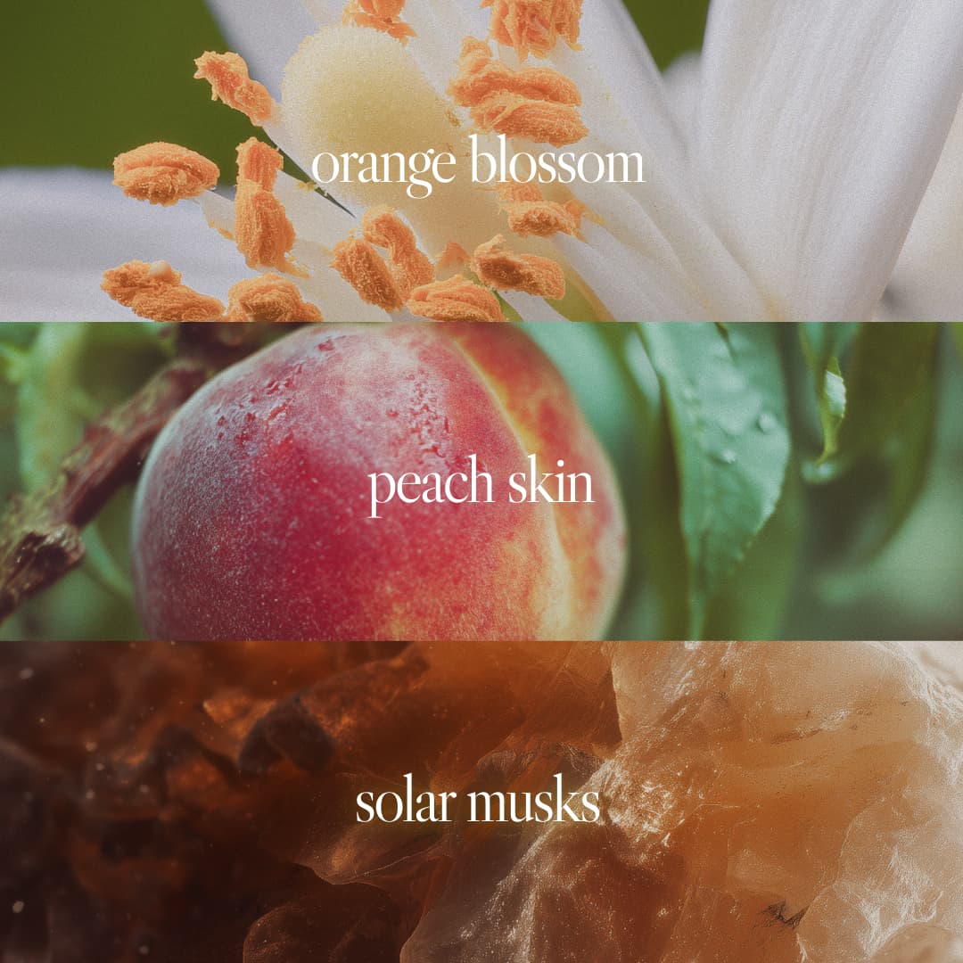 New Arrivals | Limited-Edition Fragrances by Noteworthy – Noteworthy