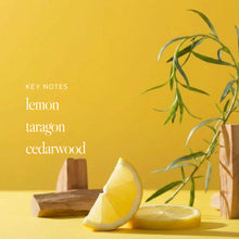 n,841 Poet's Dream Body Butter + 50ml Eau De Parfum Bundle