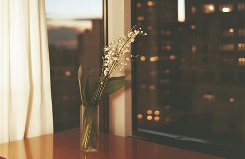 Slow evenings